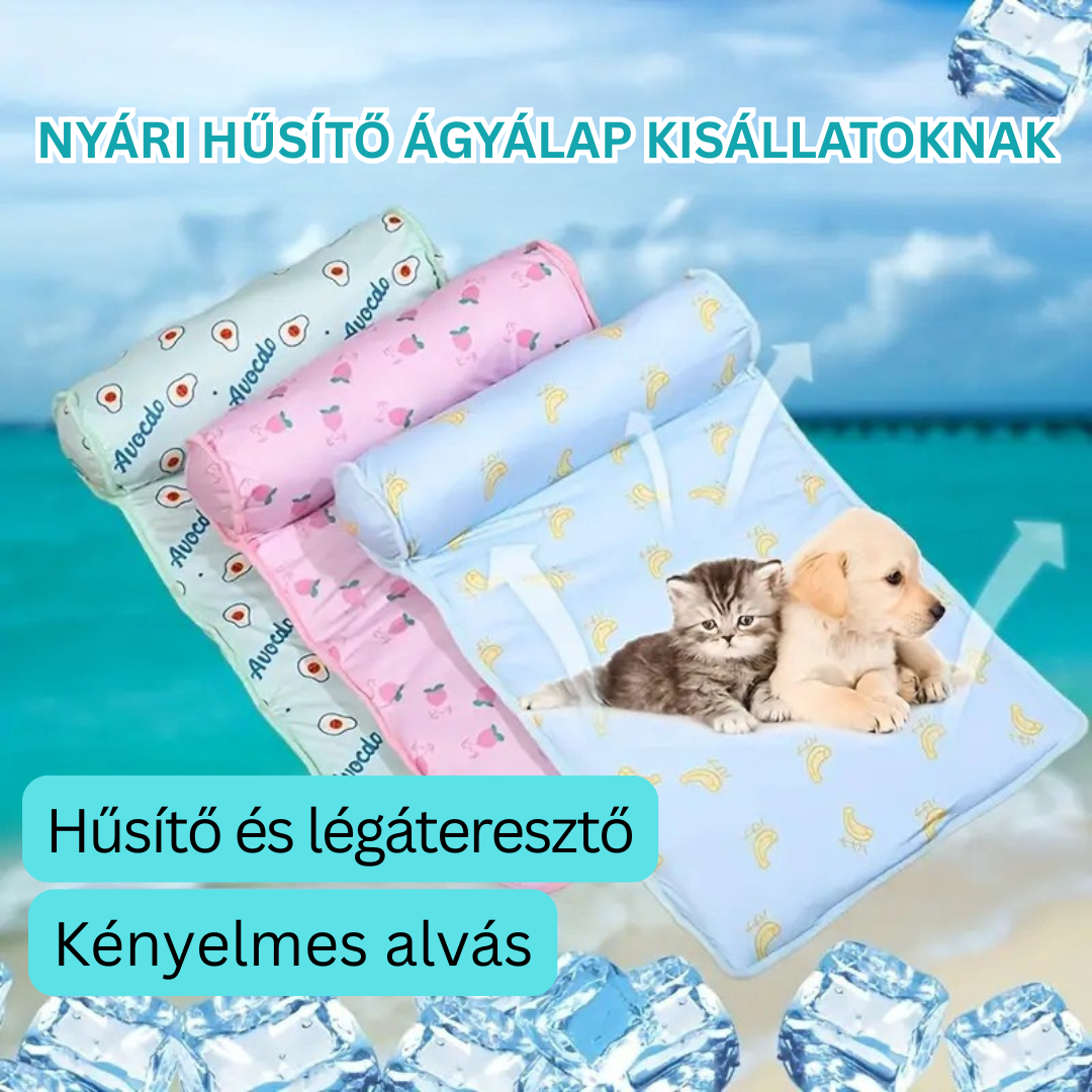 Fiora™ | Hűsítő kutyaágy – Párnával és nyári mintával